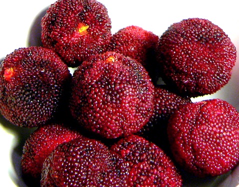 Waxberry