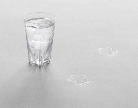 Sakurasaku Glass