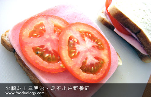 ham and cheese sandwich