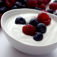 Yoghurt