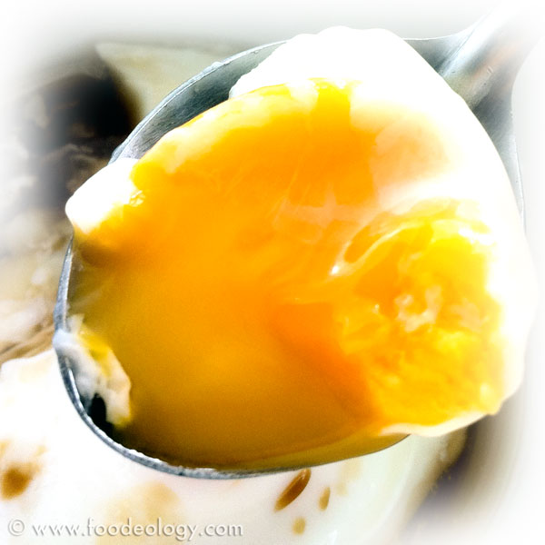 Poached-Eggs-2 poached eggs