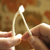 wishbone