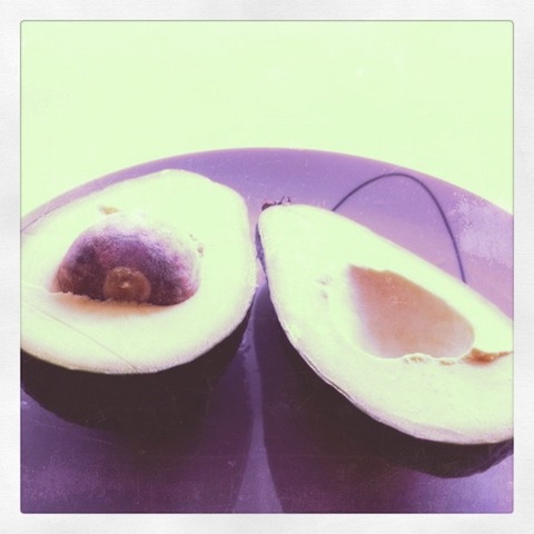 avocado2 avocado