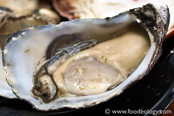 Oyster_Sydney-Fish-Market Oyster_Sydney-Fish-Market