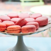 Rose-Mac_La-Belle-Miette