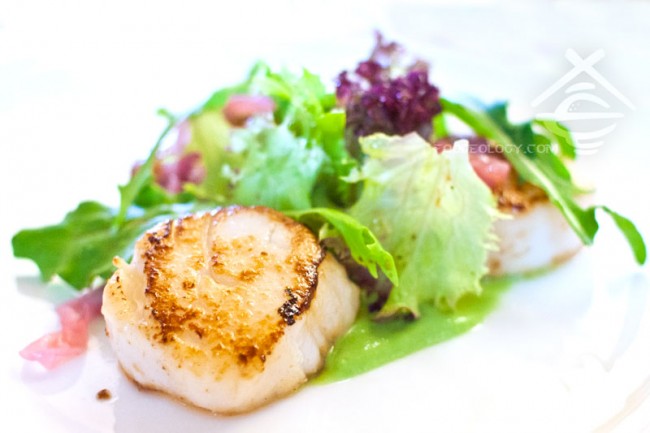 Scallop_Da-Paolo