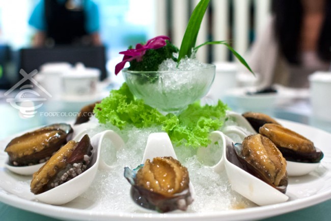 Abalone_Putien Abalone_Putien