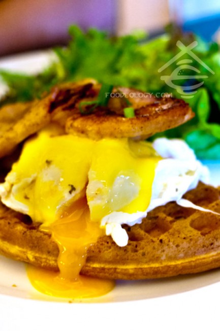 Spruce-Eggs-Benny