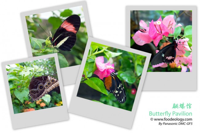 Butterfly-Pavilion-Macau-MGM_Collage
