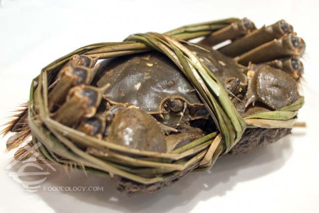 Hairy-Crab-Live_Putien Hairy-Crab-Live_Putien