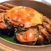 Hairy-Crab_Putien