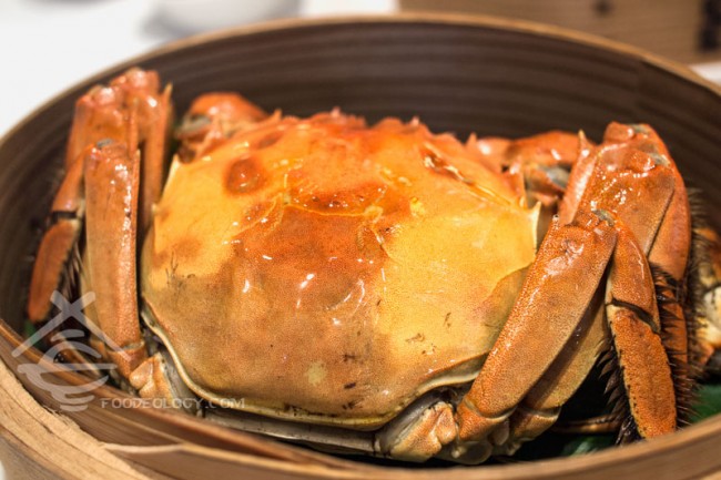 Hairy-Crab-right_Putien Hairy-Crab-right_Putien