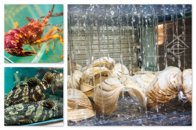 Majestic-Bay-Seafood Majestic-Bay-Seafood