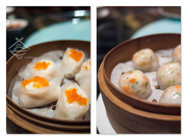 Steamed-Dim-Sum_Tian-Fu Steamed-Dim-Sum_Tian-Fu