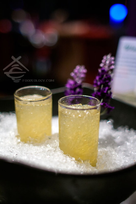 Sour-Plum-Granitas_Dozo