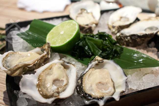 Oysters_Addition-Aquatic-Development