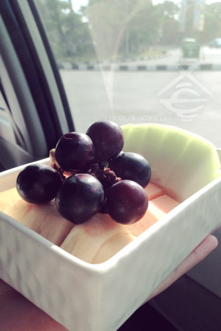 Fruits-on-the-airport transport_The-Bale