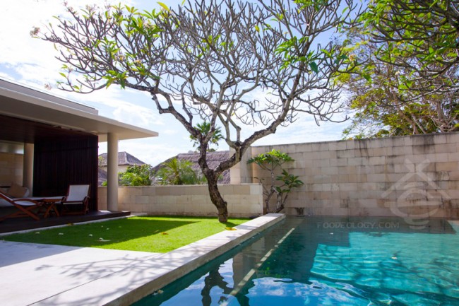 Single-Pavilion-Pool-and-Bengong_The-Bale